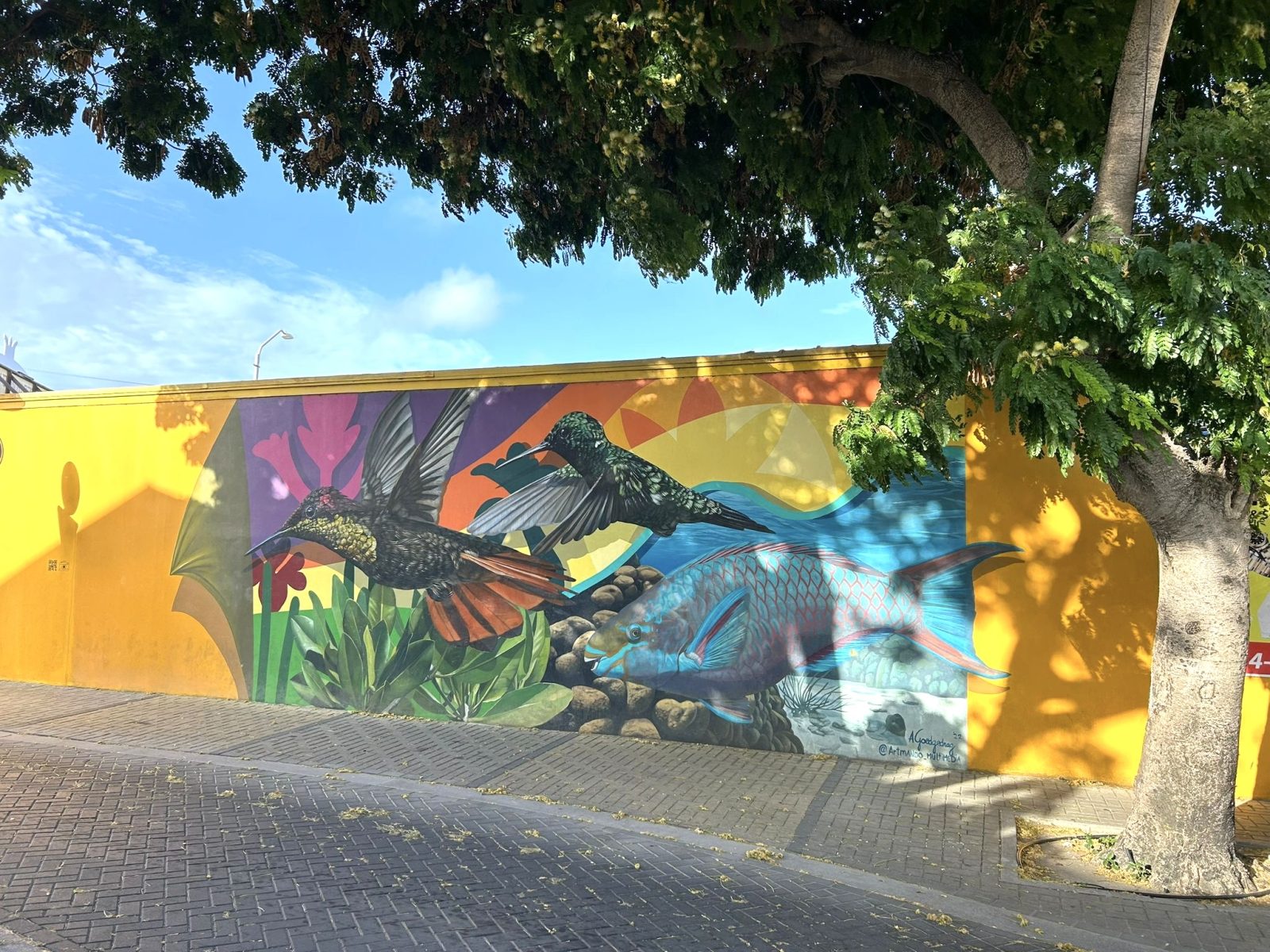 Streetart-route-Aruba