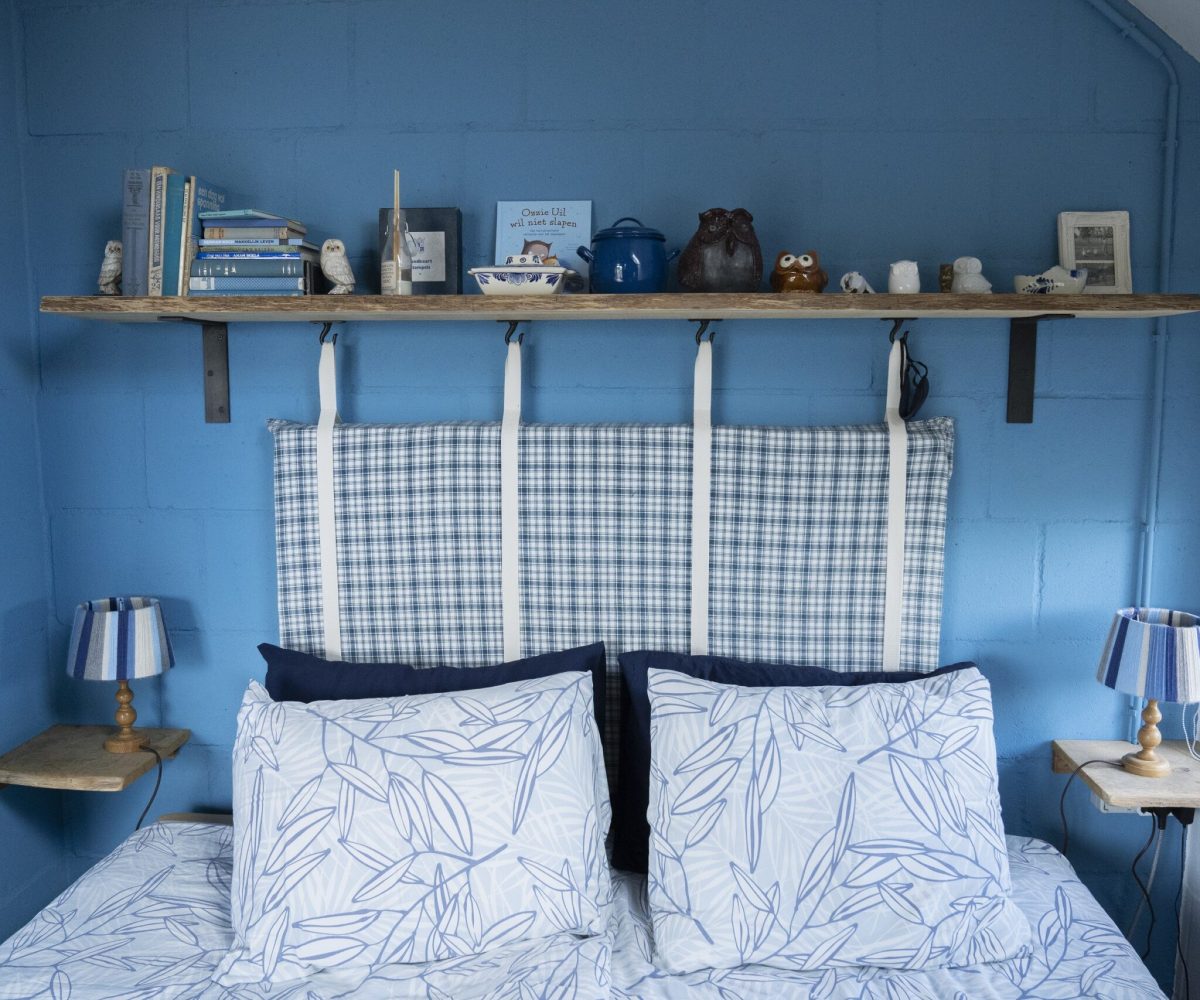 BlueBarn10