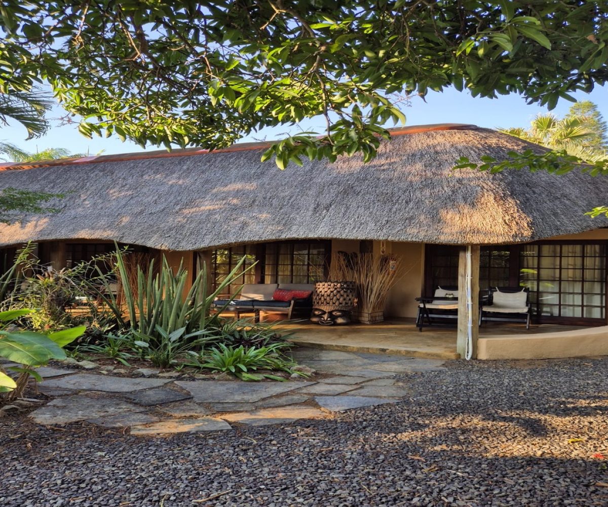 kamer Afrikhaya2