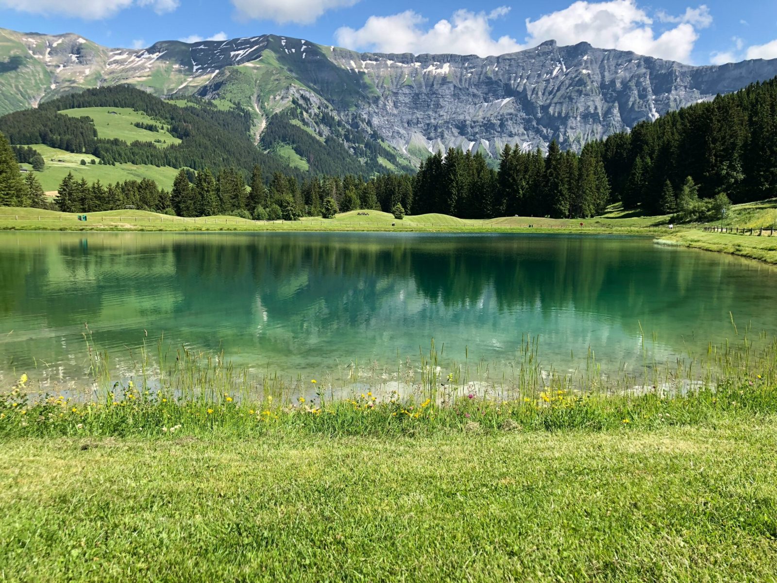 les-elby-pe-eF3pFjYI-unsplash